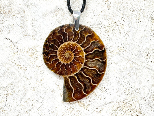 Ammonite Half Pendant 4.8cm