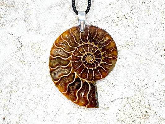 Half Ammonite Fossil Pendant 4.9cm