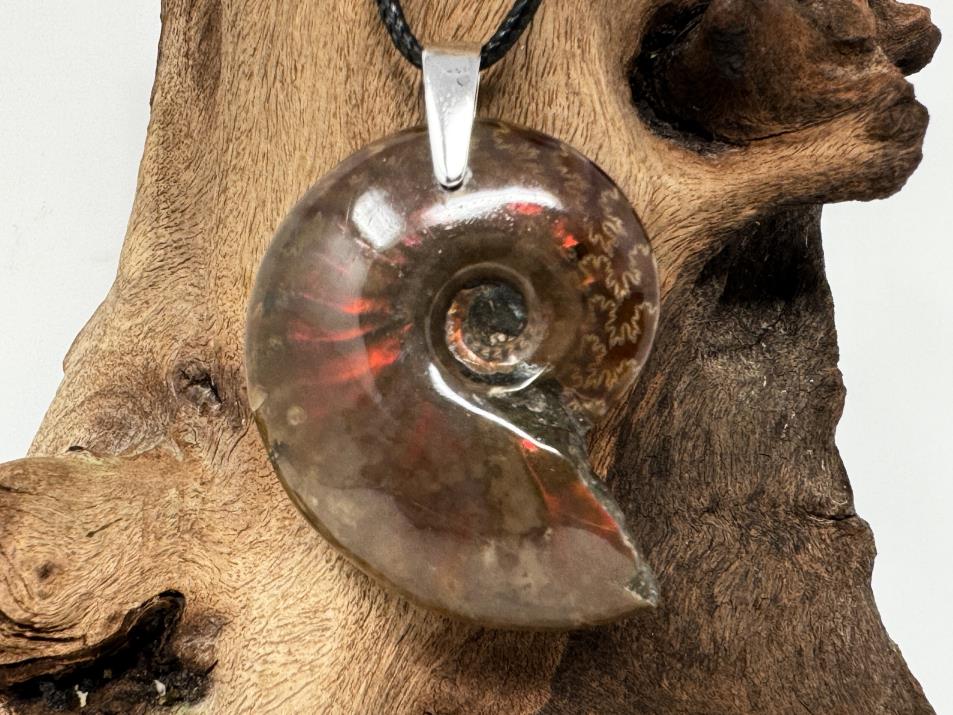 Red Iridescent Ammonite Pendant 4cm