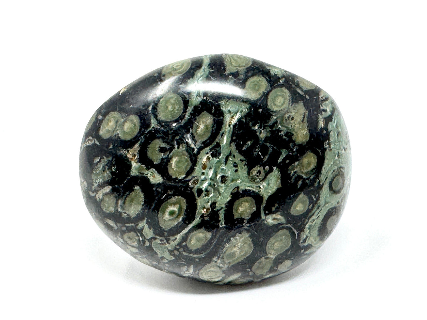 Kambaba Jasper Crystal Pebble 5.5cm