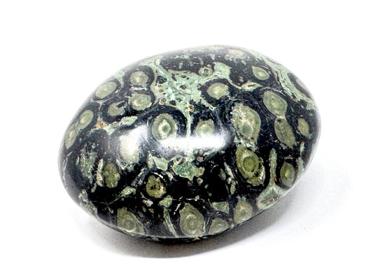 Kambaba Jasper Crystal Pebble 5.5cm