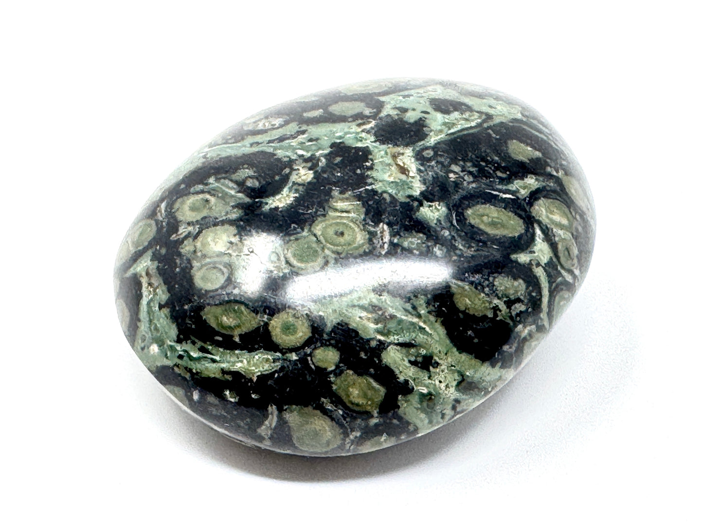 Kambaba Jasper Crystal Pebble 5.5cm