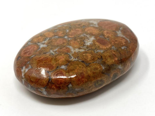 King Cobra Jasper Crystal Pebble 6.4cm