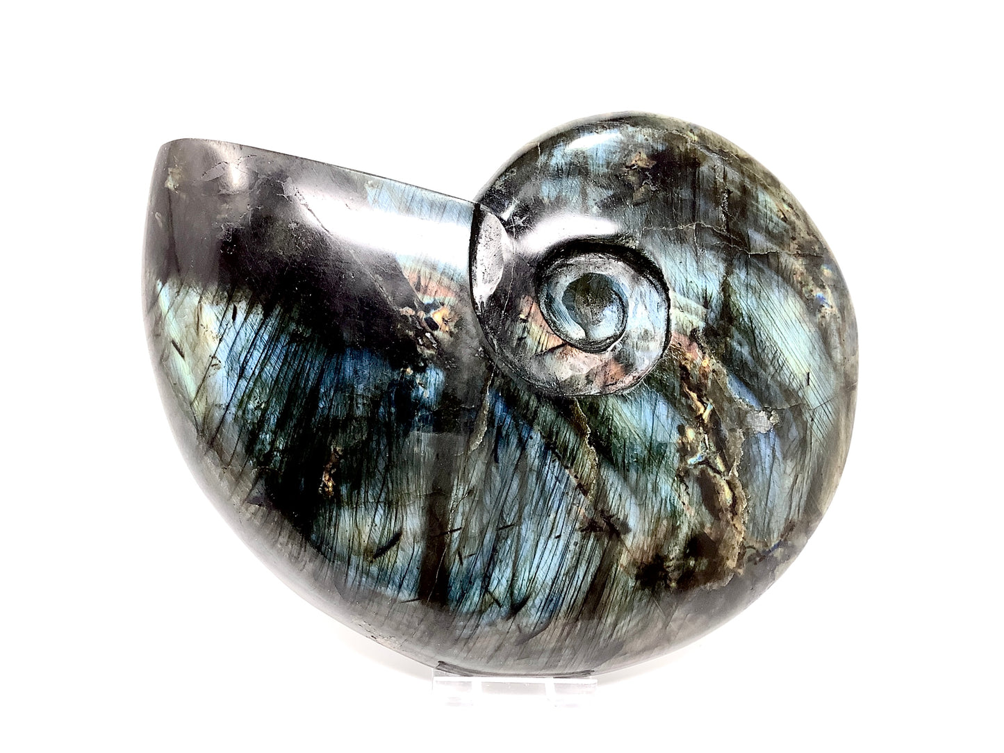 Labradorite Ammonite Crystal Carving Large 19.5cm