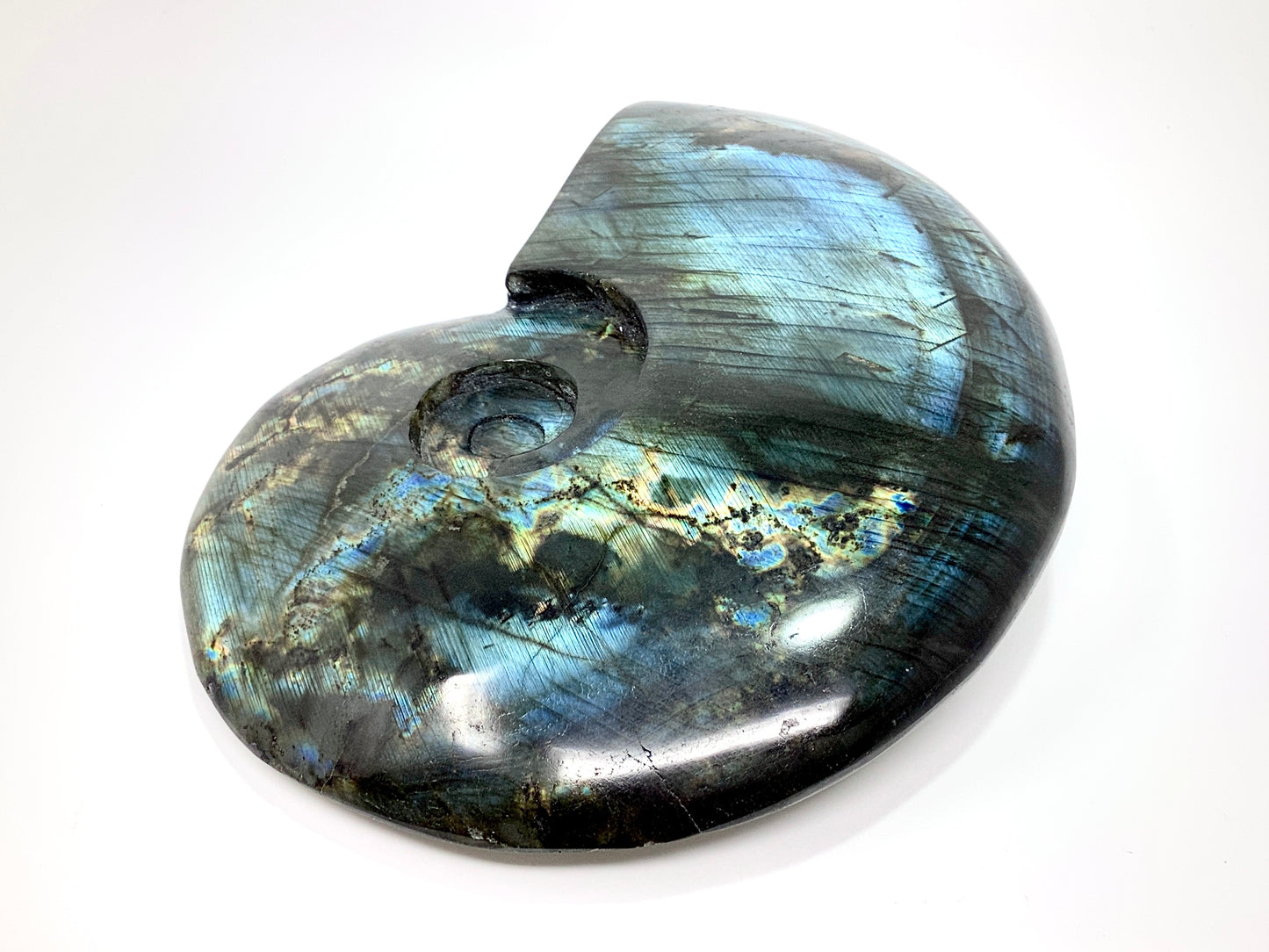 Labradorite Ammonite Crystal Carving Large 19.5cm