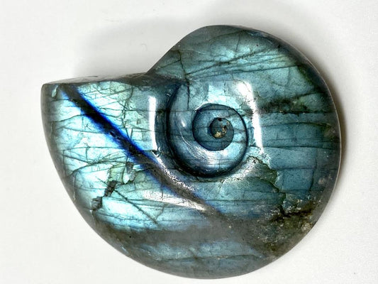 Labradorite Ammonite Crystal Carving 4.7cm