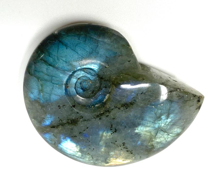 Labradorite Ammonite Crystal Carving 4.7cm