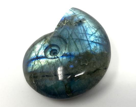 Labradorite Ammonite Crystal Carving 5cm