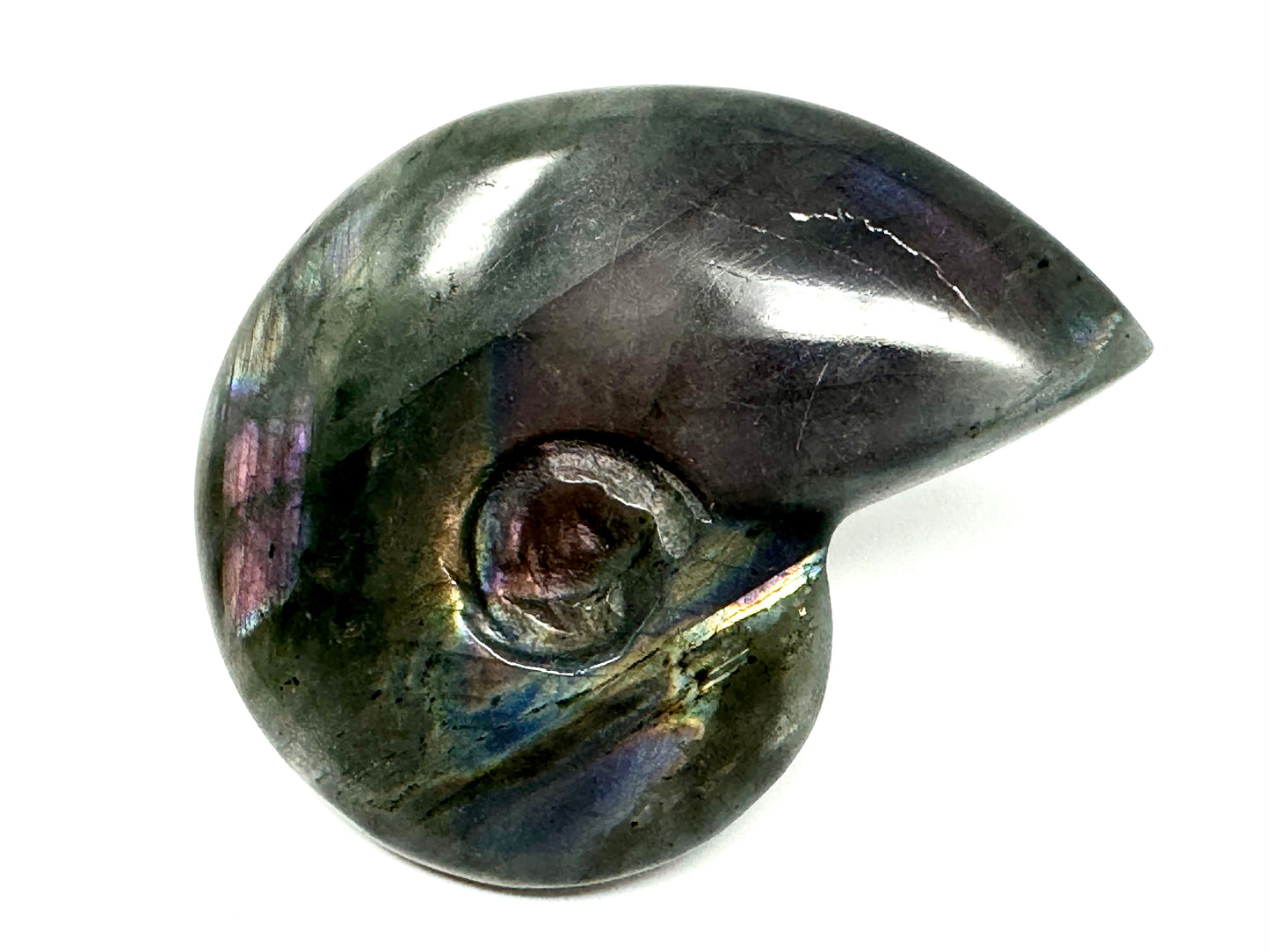 Labradorite Ammonite Crystal Carving 7.4cm