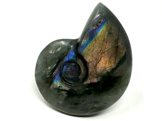 Labradorite Ammonite Crystal Carving 7.4cm