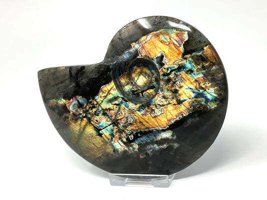 Labradorite Ammonite Crystal Carving Large 12.8cm