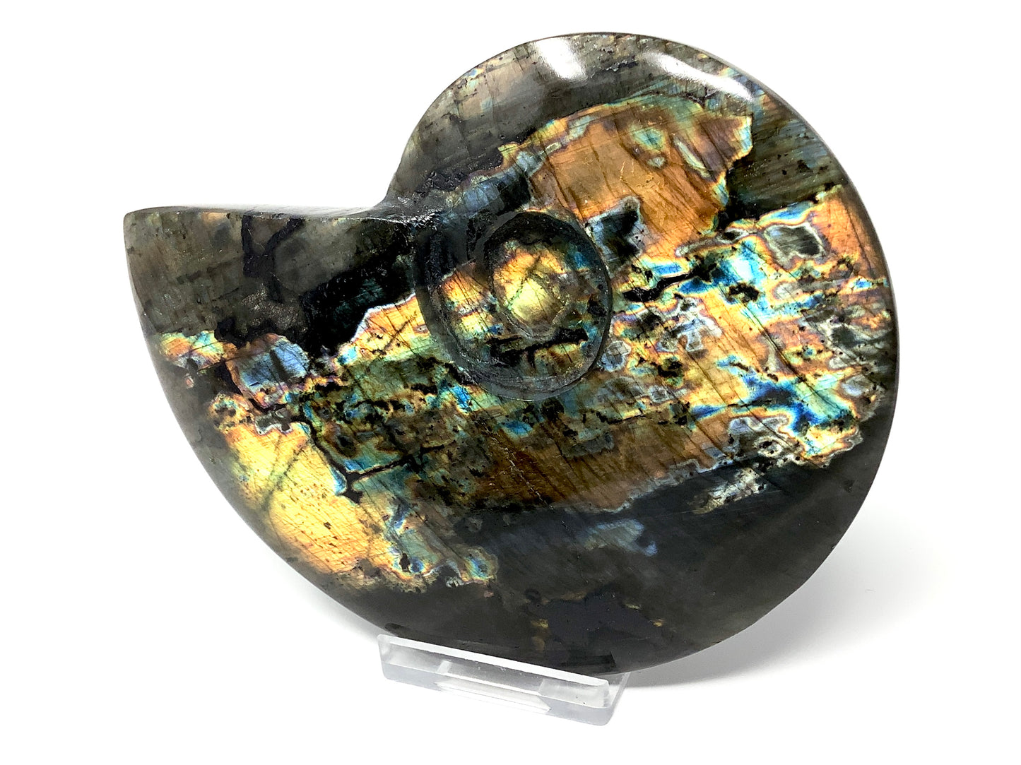 Labradorite Ammonite Crystal Carving Large 12.8cm