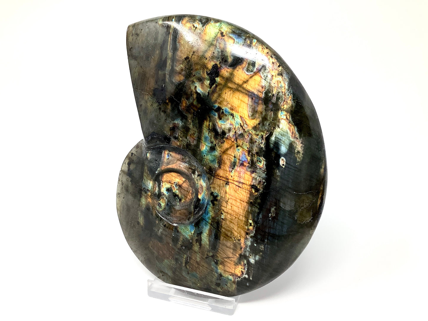 Labradorite Ammonite Crystal Carving Large 12.8cm