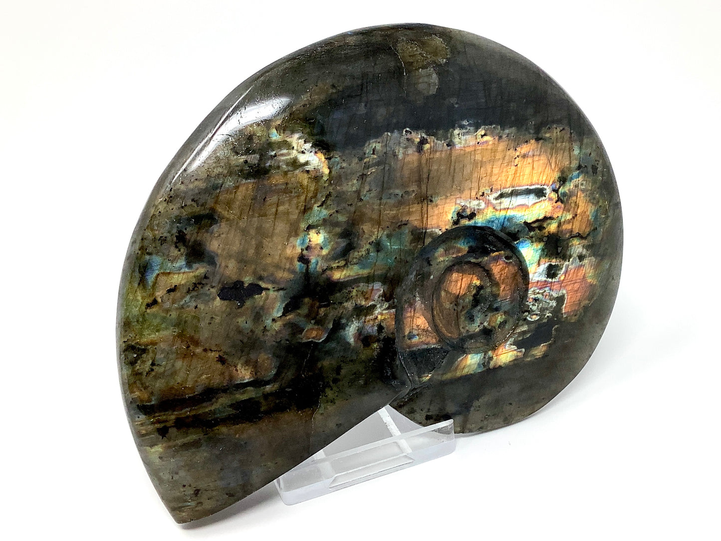 Labradorite Ammonite Crystal Carving Large 12.8cm