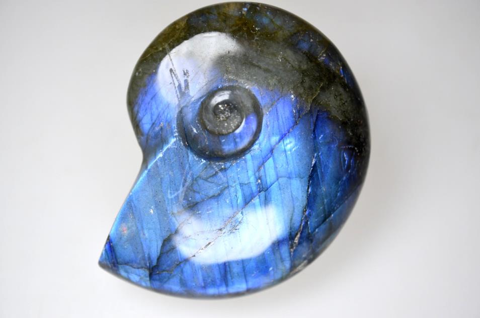 Labradorite Ammonite Crystal Carving 5.8cm