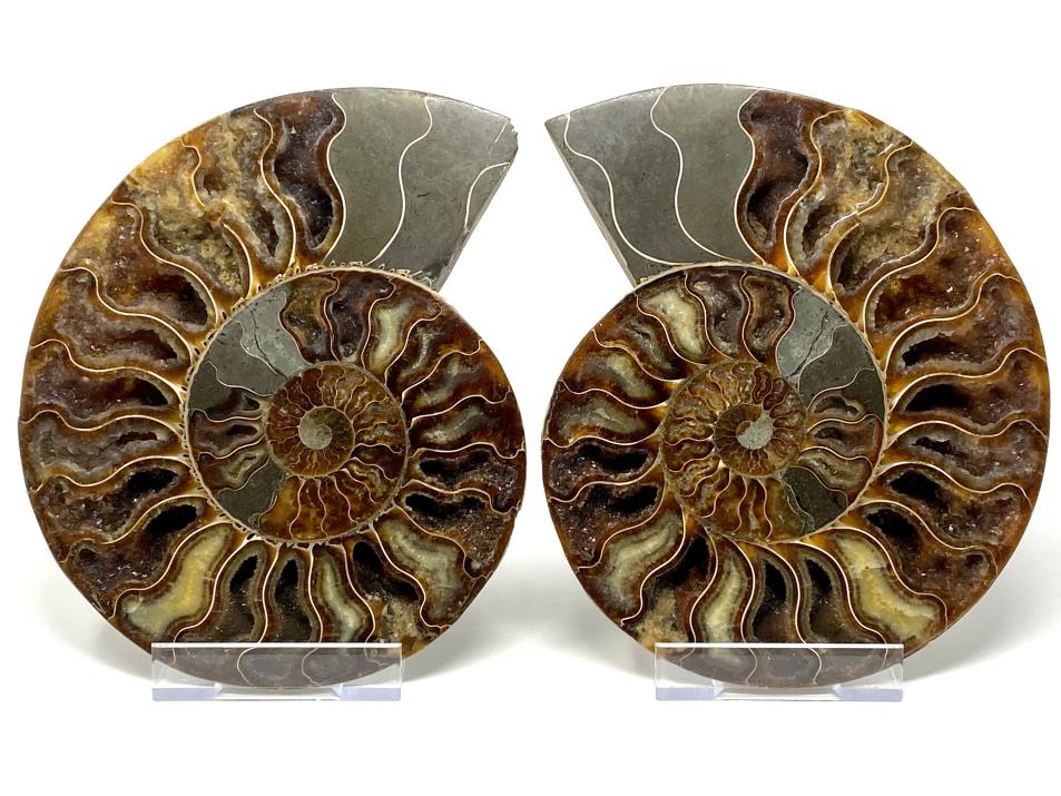 Druzy Ammonite Pair Very Large 20.2cm