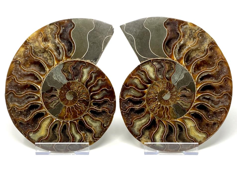 Druzy Ammonite Pair Very Large 20.2cm