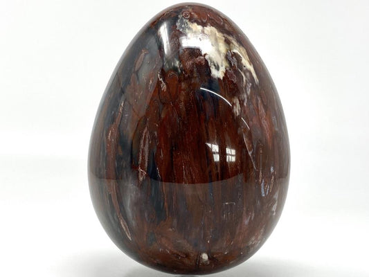 Fossil Wood Egg Large 15.1cm