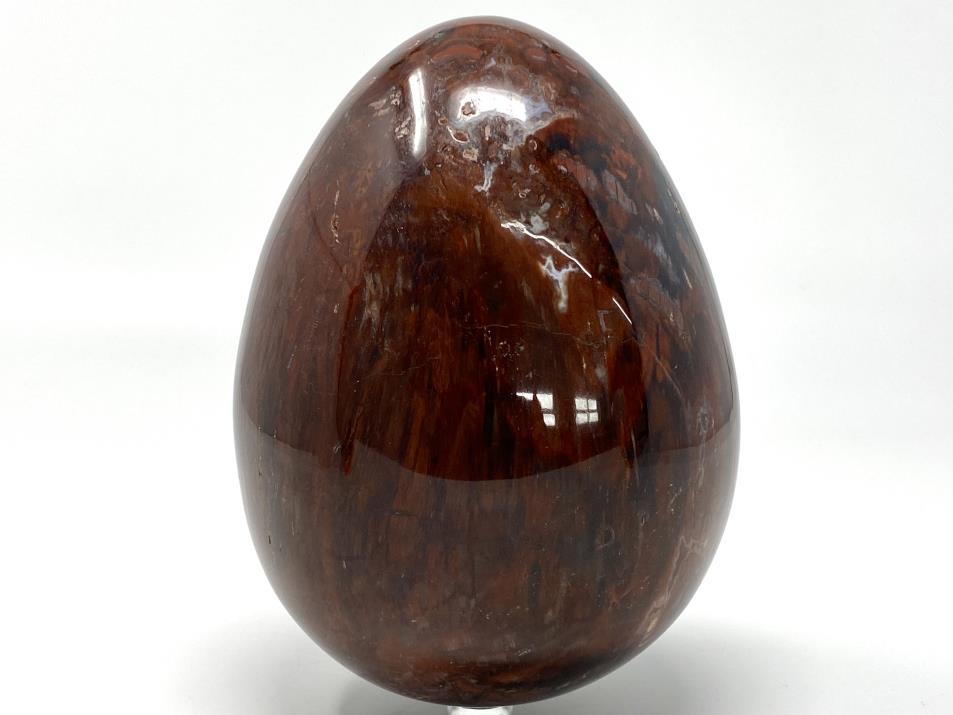 Fossil Wood Egg Large 15.1cm