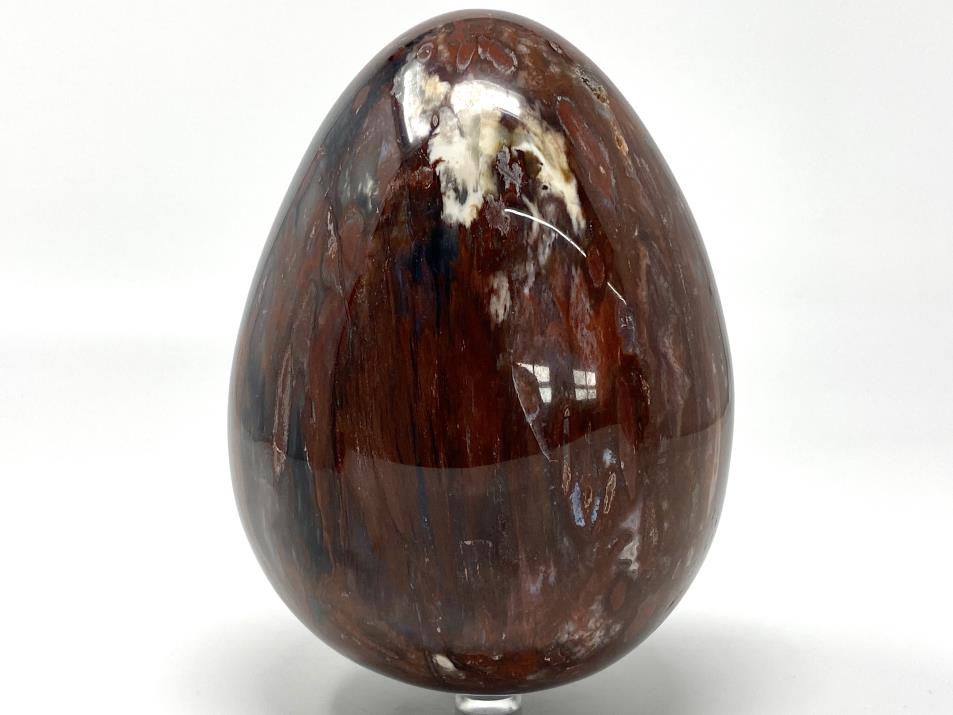 Fossil Wood Egg Large 15.1cm