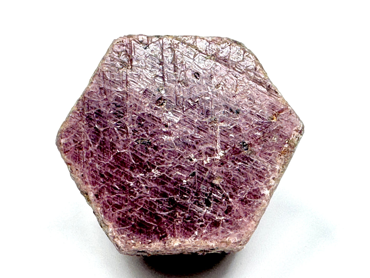 Natural Ruby Record Keeper Crystal Large 5.3cm