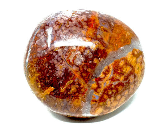 Ocean Jasper Crystal Pebble 6.1cm