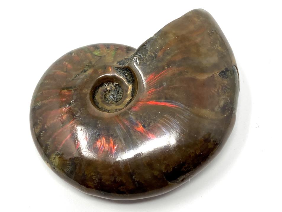 Red Iridescent Ammonite Fossil 5.3cm