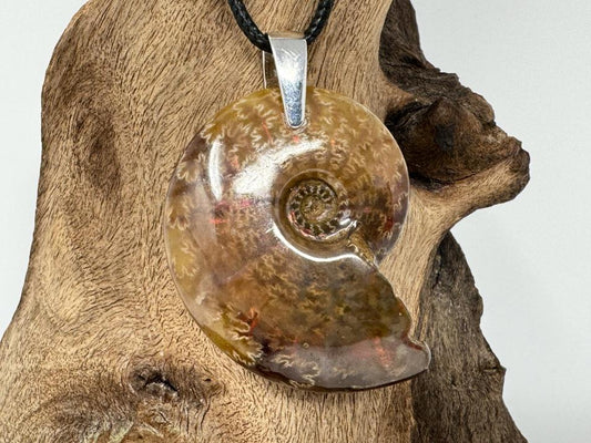 Red Iridescent Ammonite Pendant 4cm