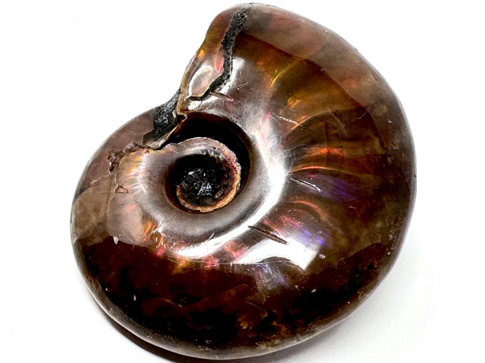 Red Iridescent Ammonite Fossil 4.8cm