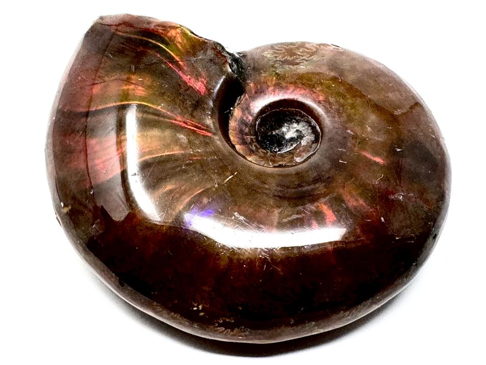 Red Iridescent Ammonite Fossil 4.8cm