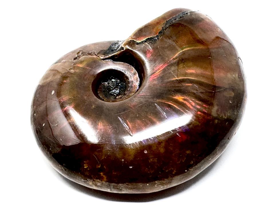 Red Iridescent Ammonite Fossil 4.8cm