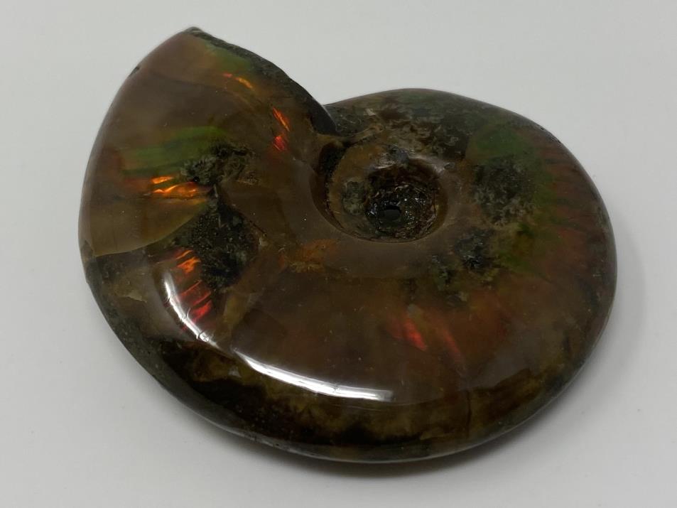 Red Iridescent Ammonite Fossil 4.6cm