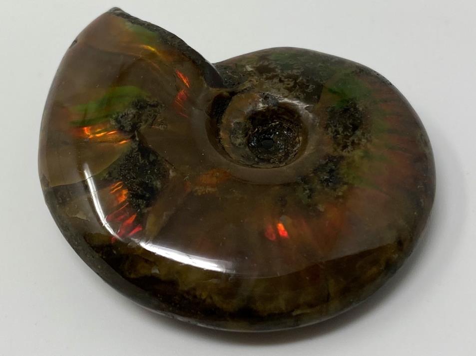 Red Iridescent Ammonite Fossil 4.6cm