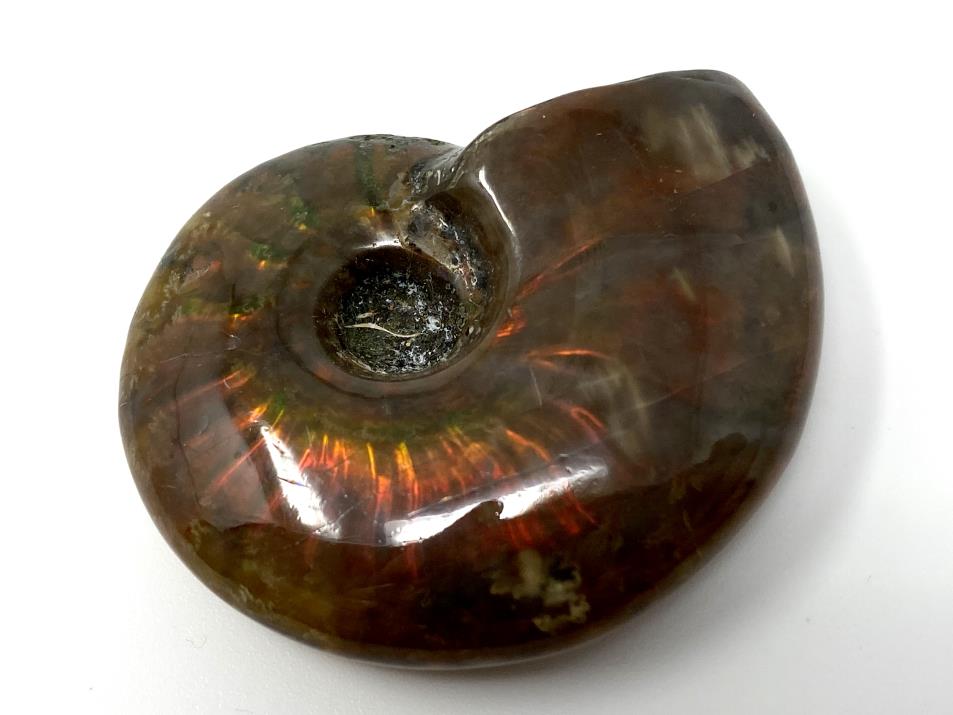 Red Iridescent Ammonite Fossil 4.4cm