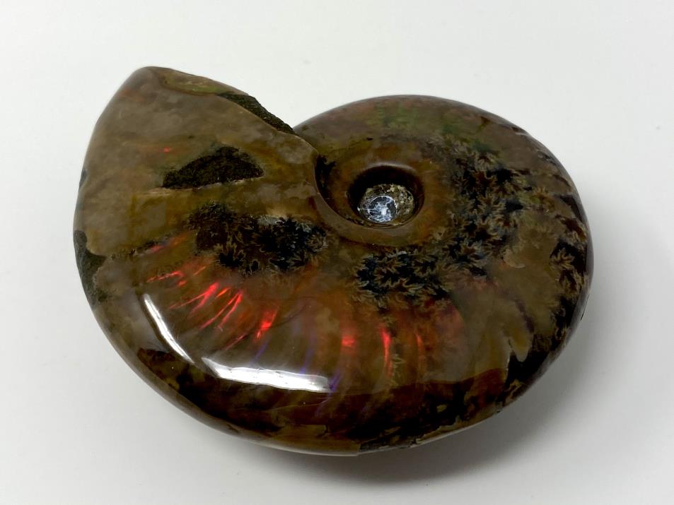 Red Iridescent Ammonite Fossil 6.8cm