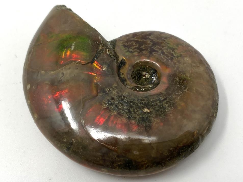 Red Iridescent Ammonite Fossil 4.8cm