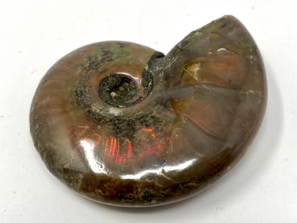 Red Iridescent Ammonite Fossil 4.8cm