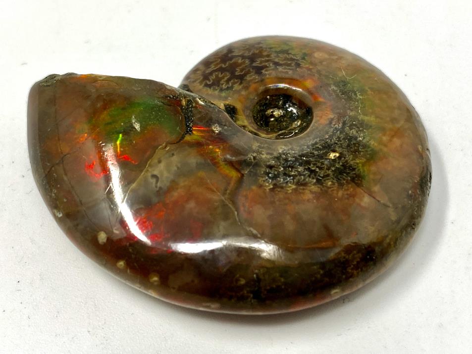 Red Iridescent Ammonite Fossil 4.8cm