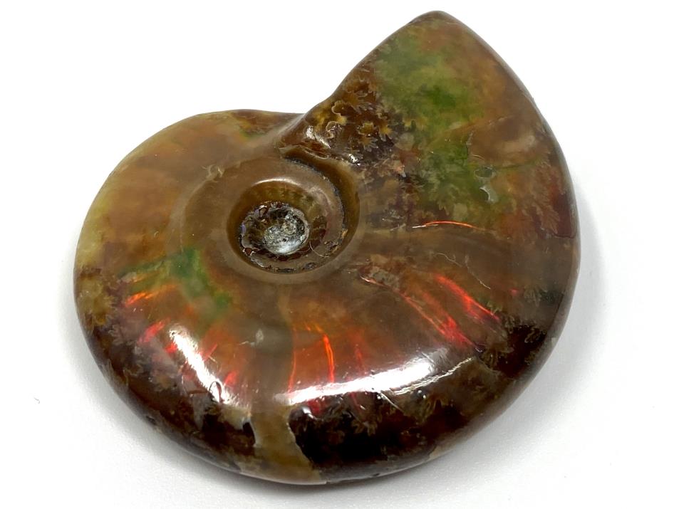 Red Iridescent Ammonite Fossil 4.9cm