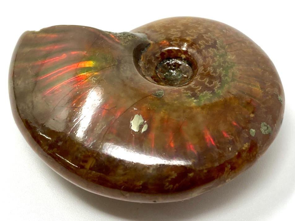 Red Iridescent Ammonite Fossil 4.7cm