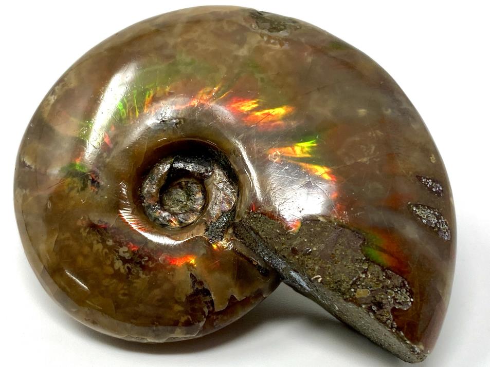 Red Iridescent Ammonite Fossil 5.4cm