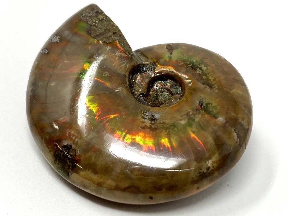 Red Iridescent Ammonite Fossil 5.4cm