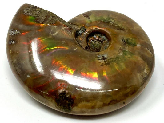 Red Iridescent Ammonite Fossil 5.4cm