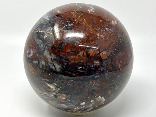 Fossil Wood Sphere Large 19.7cm