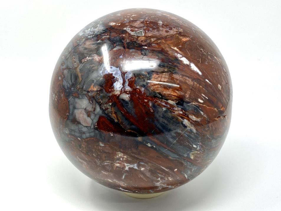 Fossil Wood Sphere Large 19.7cm