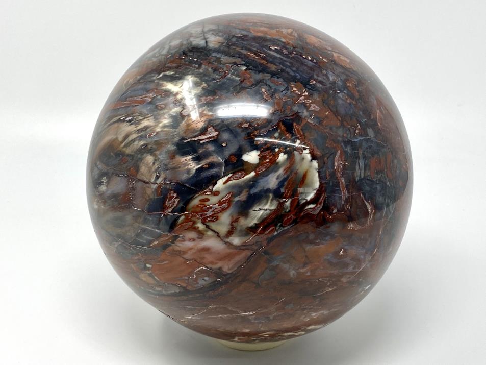 Fossil Wood Sphere Large 19.7cm