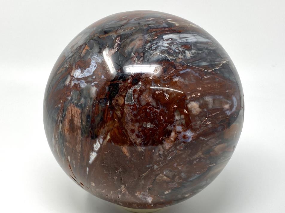 Fossil Wood Sphere Large 19.7cm