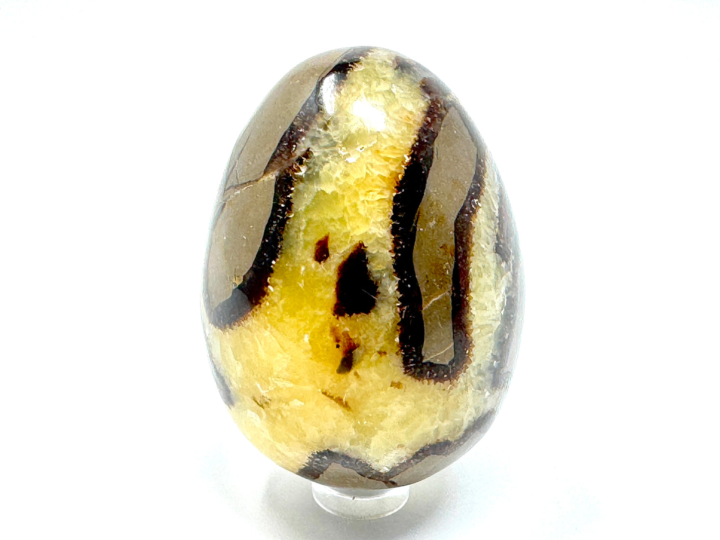 Yellow Septarian Egg Crystal 6.8cm