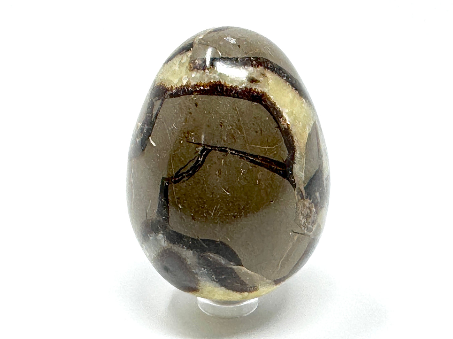 Yellow Septarian Egg Crystal 6.8cm