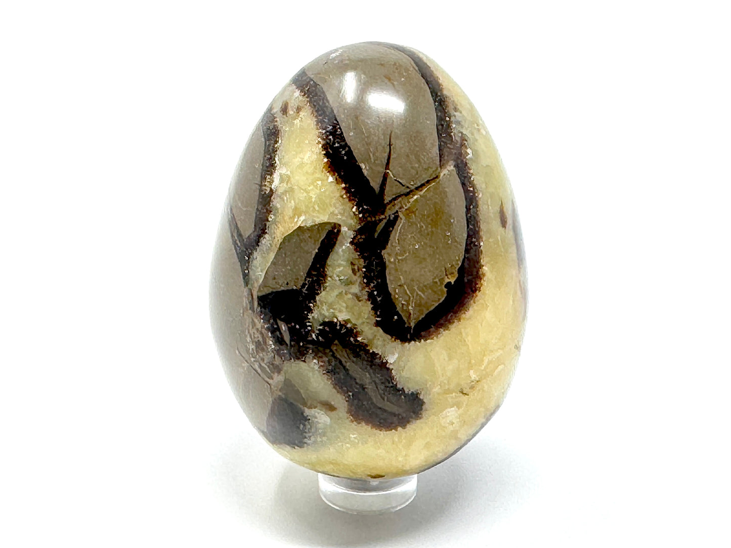 Yellow Septarian Egg Crystal 6.8cm